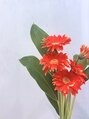 アルクネイル 成田(alku nail)/パラジェル登録サロンalku nail 成田