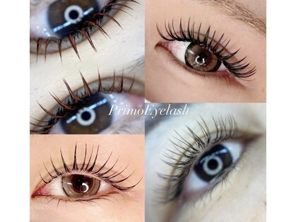 プリモアイラッシュ(Primo Eyelash)の写真