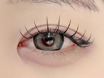 ロジー 盛岡(ROSIE)/フラットラッシュ120本