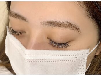 ルピナス(Lupinus)/ボリュームラッシュ400本