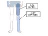 【ハーフパンツもカッコよくきまる】当店人気No.3！足全体脱毛￥5,200