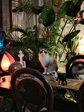 サン アーユス 千葉本店(Sun Ayus)/ミクです