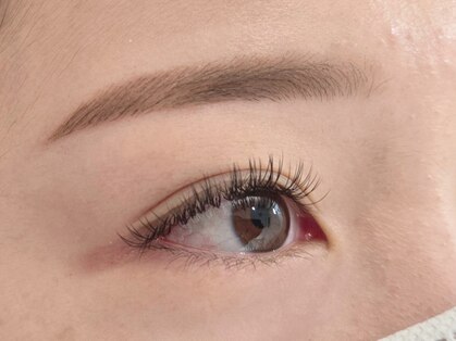 ソラ(SORA)の写真