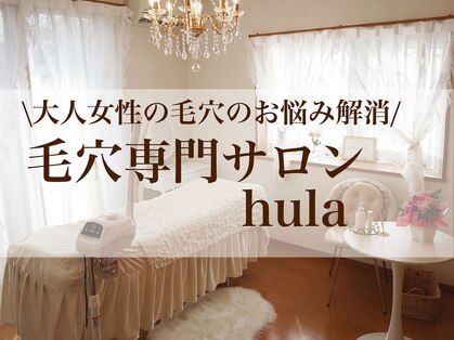 フラ(hula)の写真