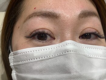 ルピナス(Lupinus)/ボリュームラッシュ400本