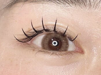 ネオリーブ ルノン 日吉(Neolive Runon)/フラットラッシュ120本