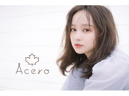 アチェロ つくば(Acero)の写真
