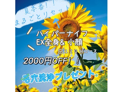 ココチ(KOKOCHI)の写真
