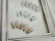 ビューティフルムーン ネイル 本厚木(Beautiful Moon Nail)の写真/シンプルからトレンド・ワンホンや華やかデザインまで☆季節に合わせて選べる限定アートも豊富にご用意！