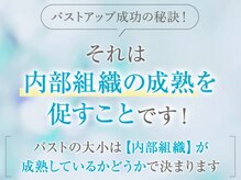 バストが大きくならなかった原因をご存知ですか？