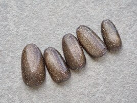 トレンドブラウンラメワンカラー