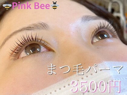 ピンクビー(Pink Bee)の写真