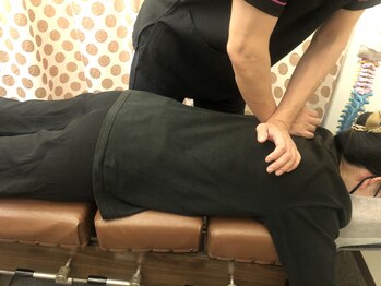 プラムの写真/痛みやつらさがなかなかとれない方へ！骨盤や骨格の歪み・バランスを整え、不調の原因を改善します。