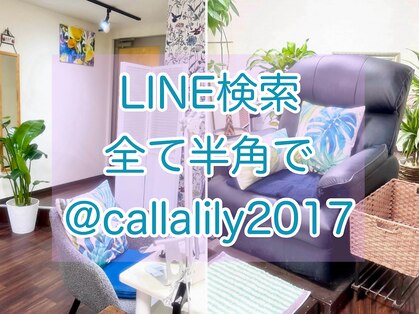 カラーリリー(Calla lily)の写真