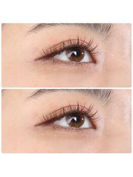 ジョリー(Jolie)/