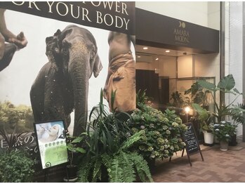 アマラムーン(AMARAMOON)/植物に囲まれた癒しの空間