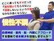 エニシ(Enishi)の写真