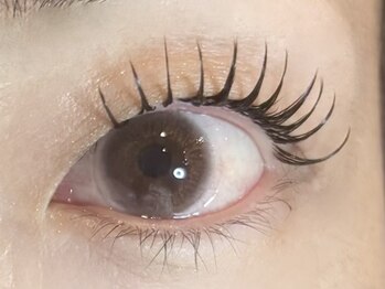 ナナ 福岡(NANA)/ フラットラッシュ140&healthy