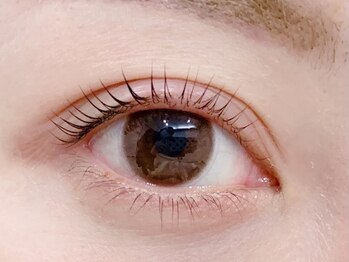 ワイズサロン(Y's salon)の写真/当店人気No1★初回特別価格!ラッシュリフト♪特別なイベント前にお目元を華やかに♪