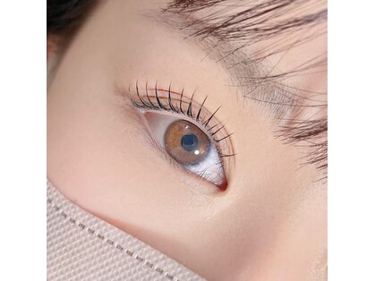 プルティティア(Pultitia)の写真