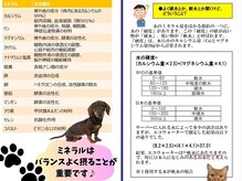 ベリル(BERYL)/ミネラルはバランスが大事！