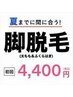 ☆夏までに間に合う☆【脚脱毛(太もも&ふくらはぎ)】¥8800→¥4400
