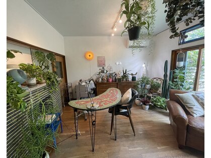 コヨネイル(koyonail)の写真