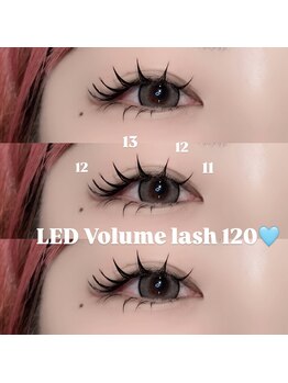 リンネ(LinNe)/KURUMI担当