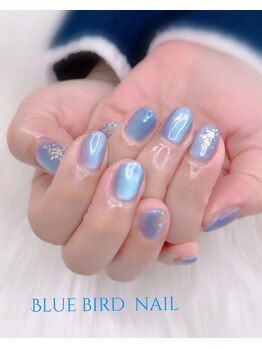 ブルーバードネイル(Blue bird nail)/マグネットネイル