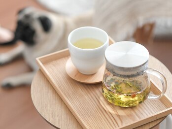 パグーグー(puguu...guu...)/看板犬のマロン