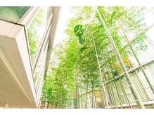 距骨サロン 洗足店/癒しの空間でお出迎え