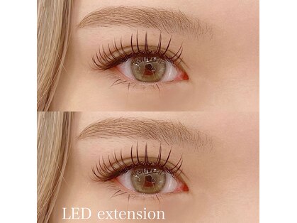 ヤエ(yae)の写真