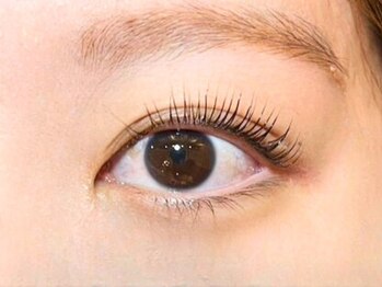 フロール 上大岡(Flor)/パリジェンヌ　ラッシュリフト