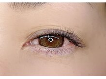 ノア(Noah)/人気No.1/大人女性におすすめ