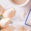 オレンジローズ(ORANGE ROSE)のお店ロゴ