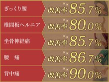 カイロイズム 腰痛バスター 安城