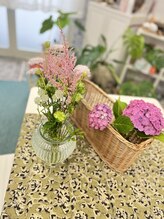 マシュマロハンド/よもぎ蒸し/冷え/むくみ改善