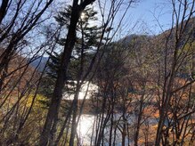 プチローズ/冥王星が水瓶座に入り風の時代♪