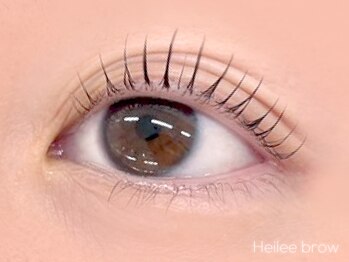 ヘイリーブロウ 札幌大通店/まつ毛パーマ