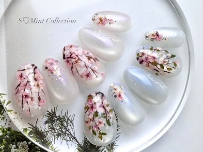 エスミント(S Mint)の写真