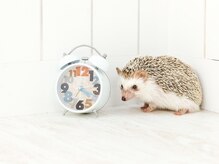 ディオーネ 千歳店(Dione)/ダウンタイムが要らない脱毛