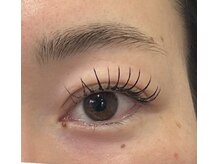 カランコエ(Kalanchoe)/