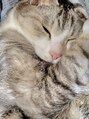 ニコルル 高崎パルクハナミズキ店(Nicolulu) 猫を５匹飼っています♪毎日もふもふ、癒されてます(^ ^)