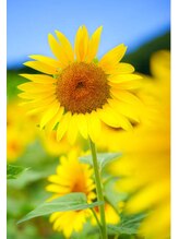 ワイガーデン 目黒西口店 堀川 (東&西口)