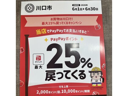 バニラ(Vanilla)の写真