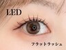 【NEW★LEDフラットラッシュ】3週間以降、再来の方 80本¥6500