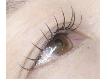 ココ(Coco)/FlatLash Pointダブル