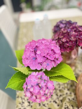 マシュマロハンド/よもぎ蒸し/冷え/むくみ改善