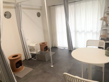 ミーライク(mi-like)/ちいさな隠れ家サロンで、ひと息