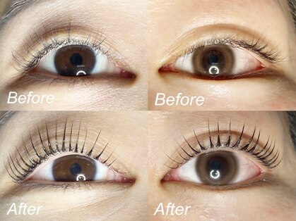 エーラッシュ(A-Lash)の写真